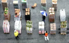 Gallery Gallery 1 5 67dmy8sffg_800665