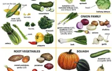 Gallery Gallery 1 6 69c7e45489050714002511ebc09a1d9e__copy