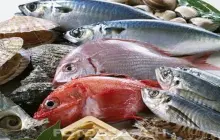 Gallery Gallery 2 2 ca_9413_6a1a3