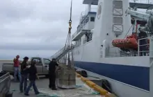 Gallery Gallery 2 8 f9621856f801012164224e033a66f4be_wix_mp_512__copy